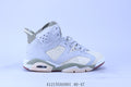 Nike air Jordan 6