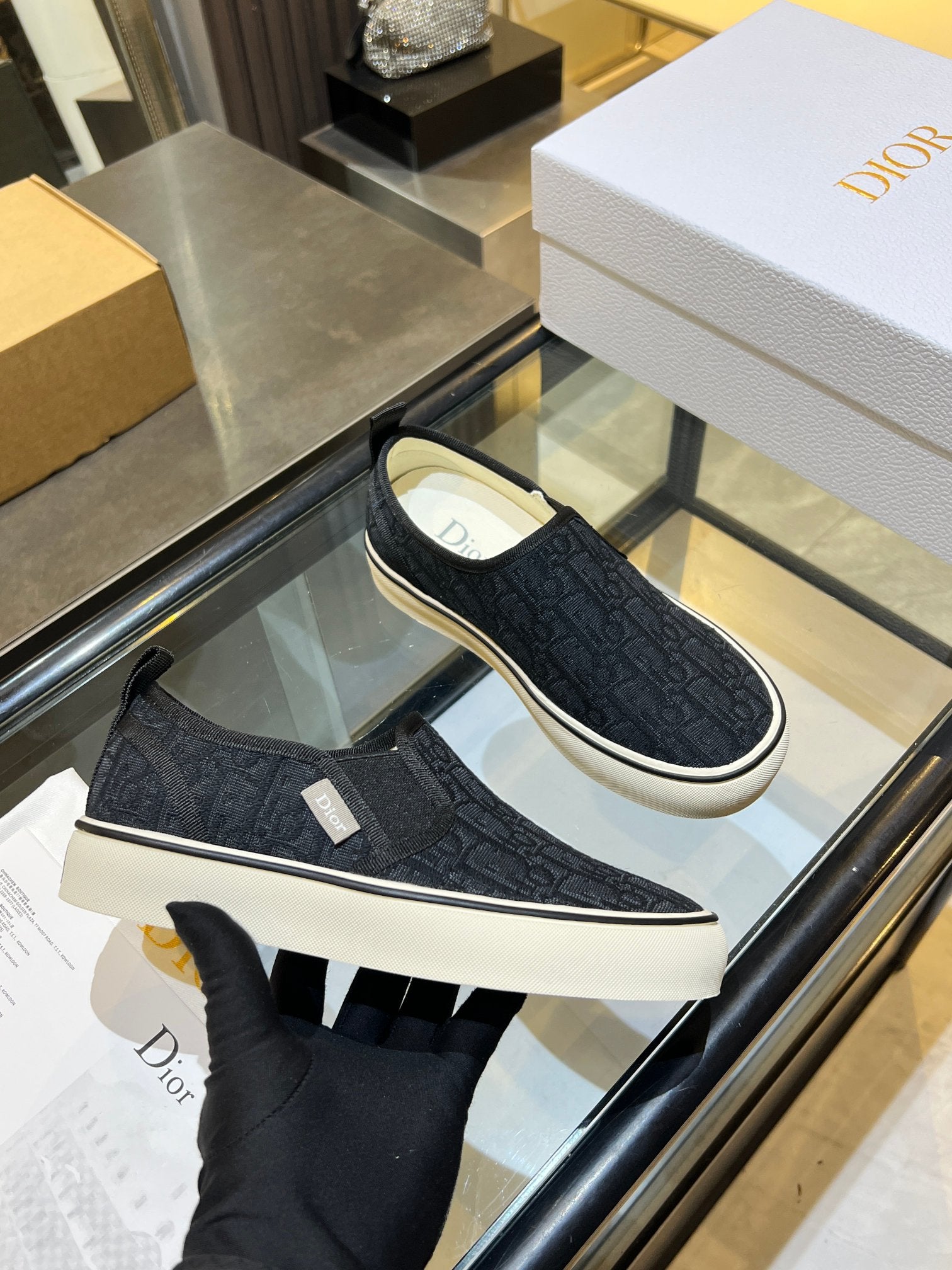 Dior-Low-top canvas