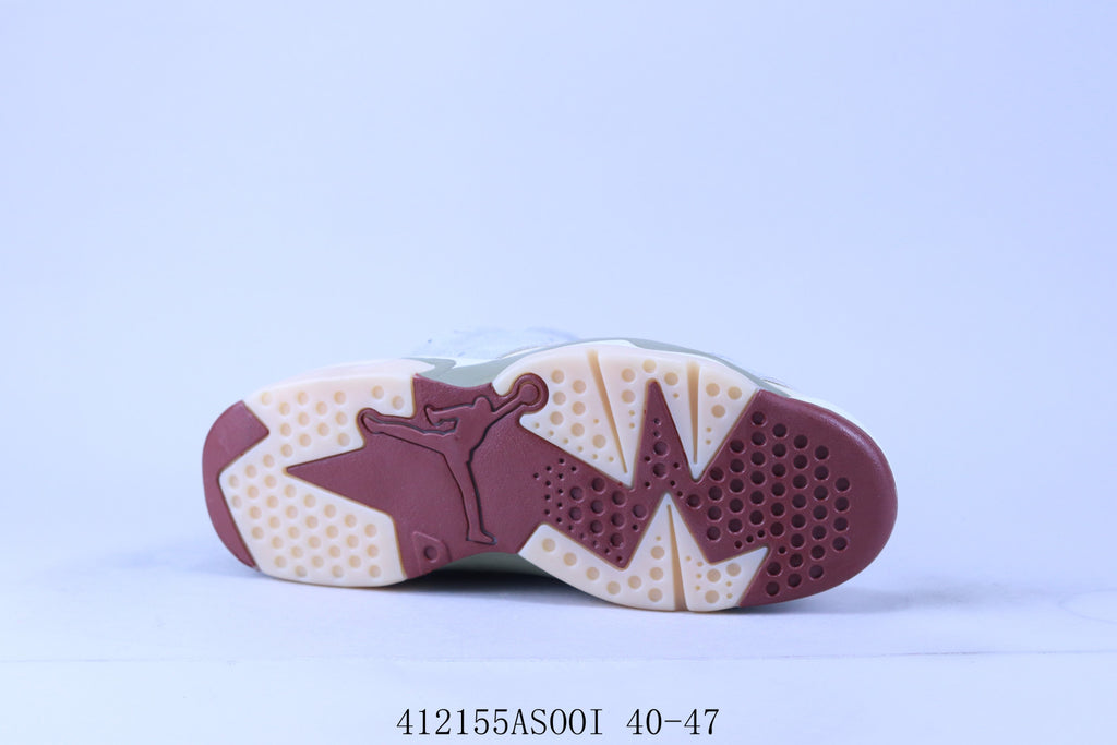 Nike air Jordan 6
