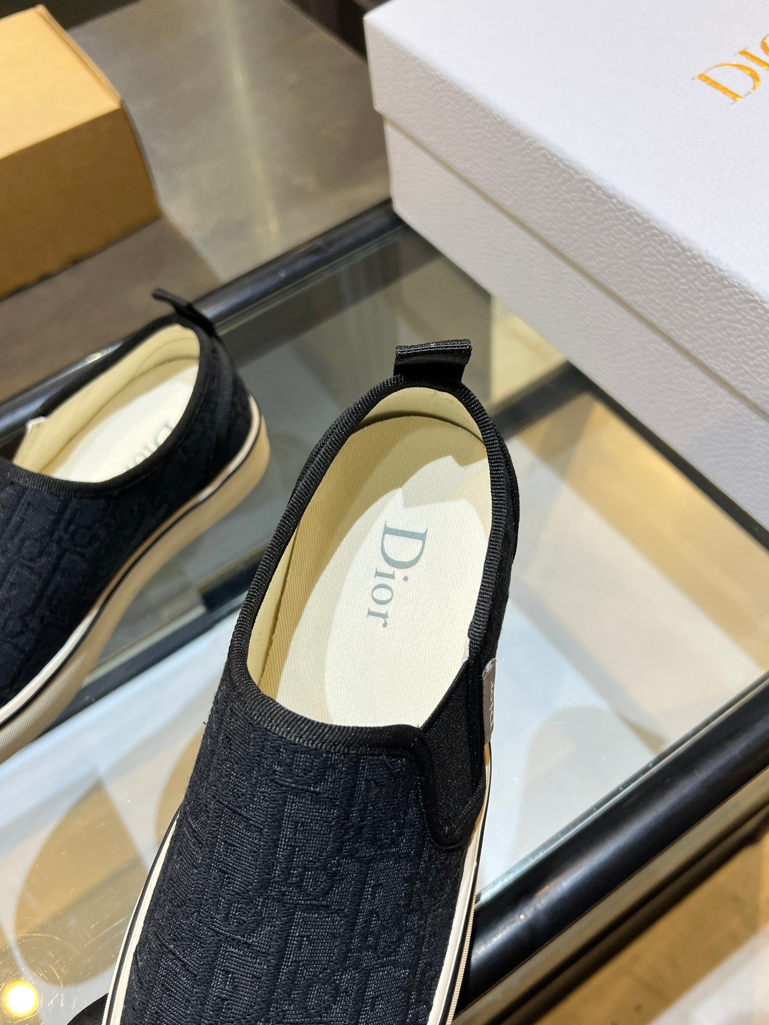 Dior-Low-top canvas