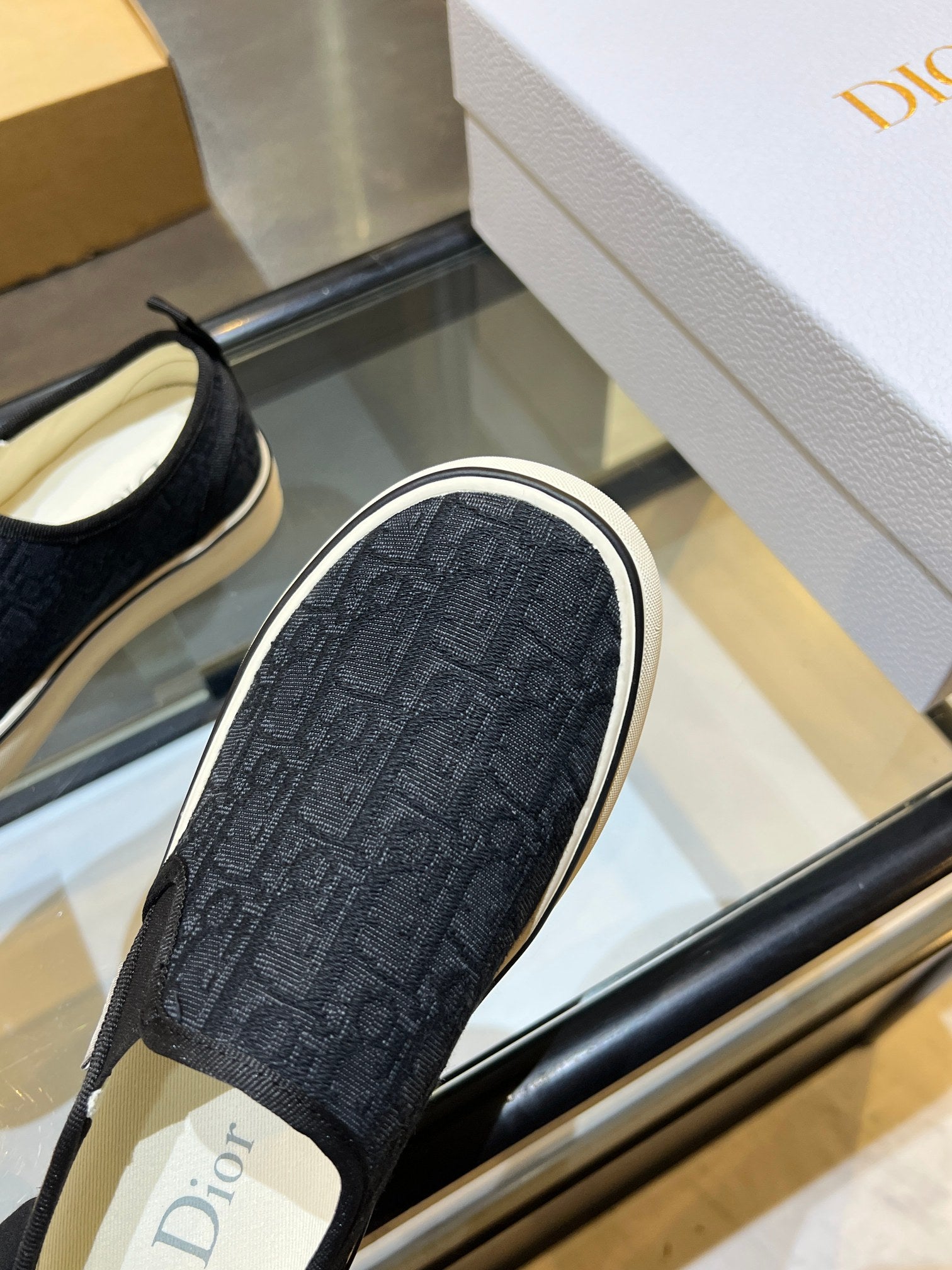 Dior-Low-top canvas