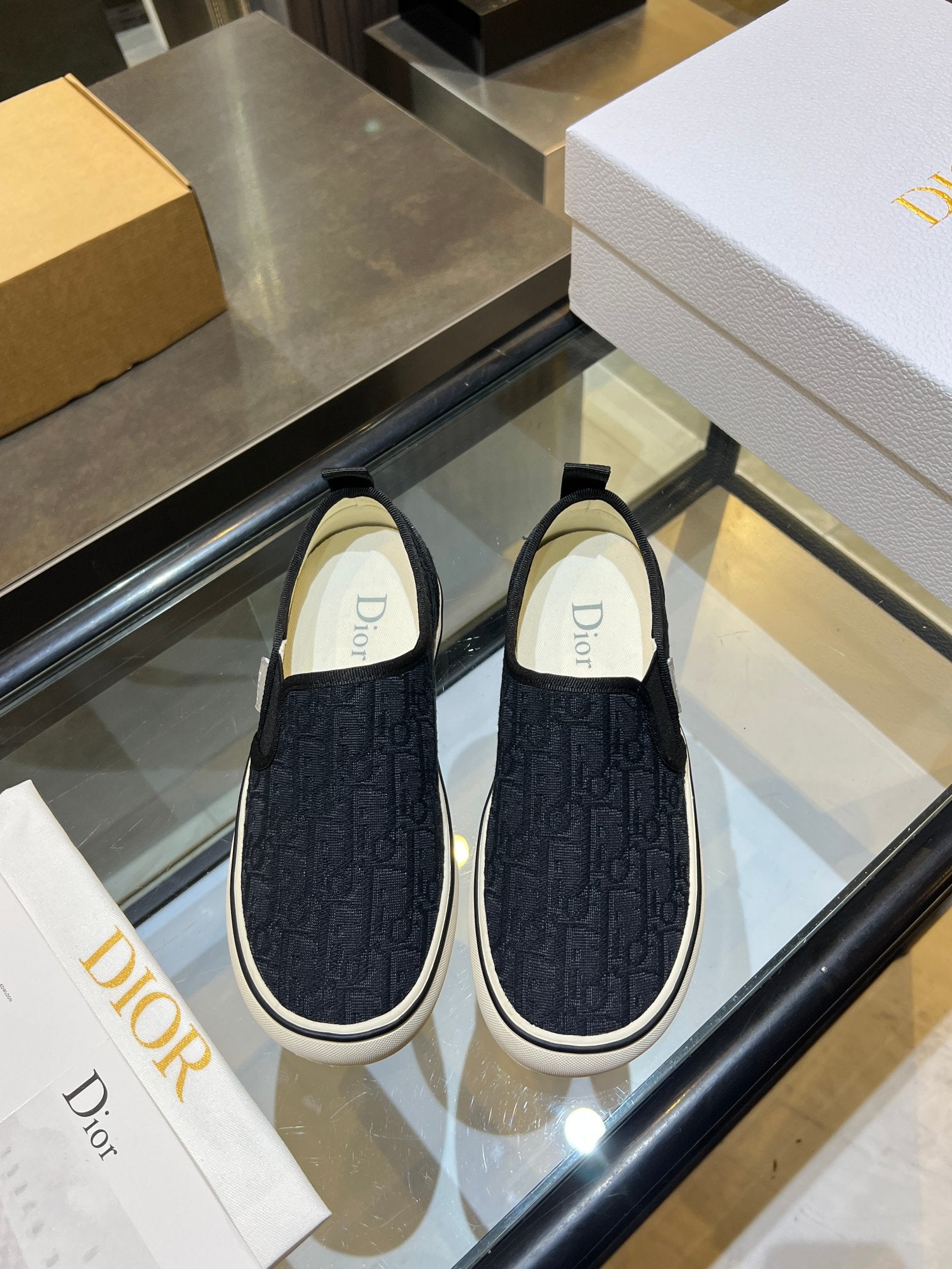 Dior-Low-top canvas