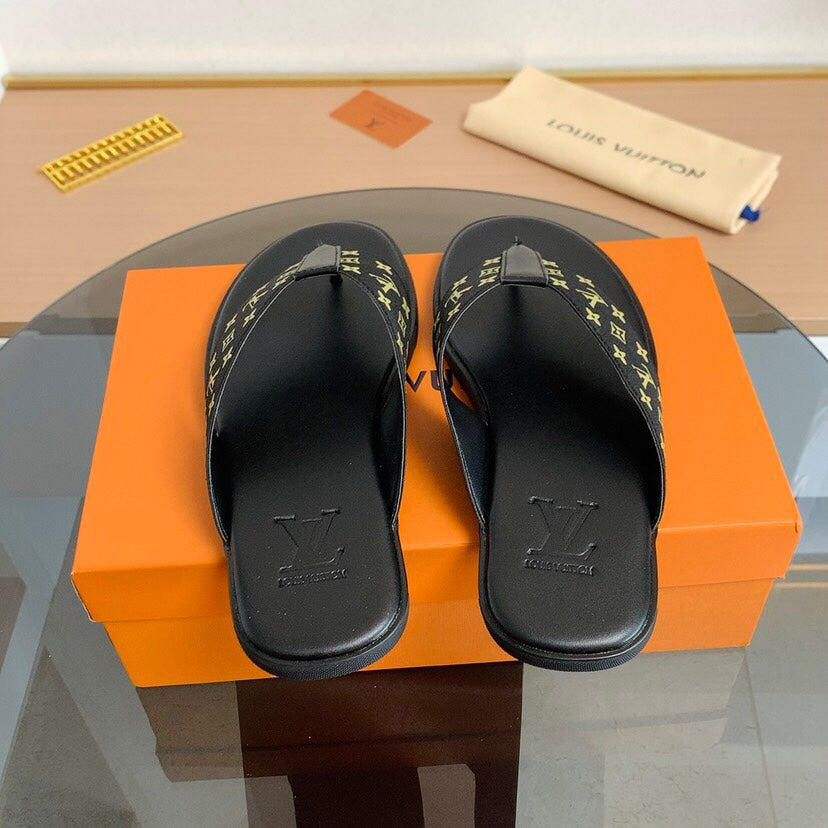 LV slides