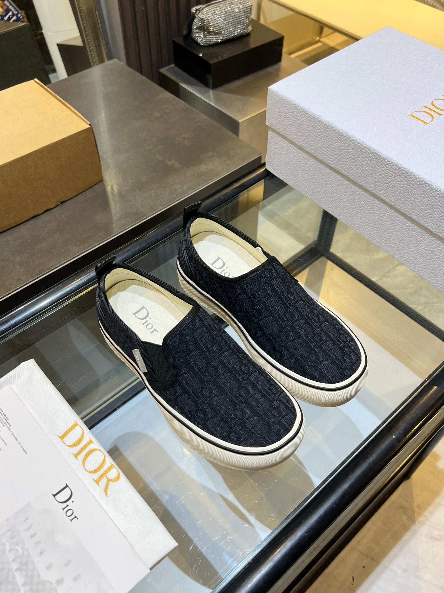 Dior-Low-top canvas