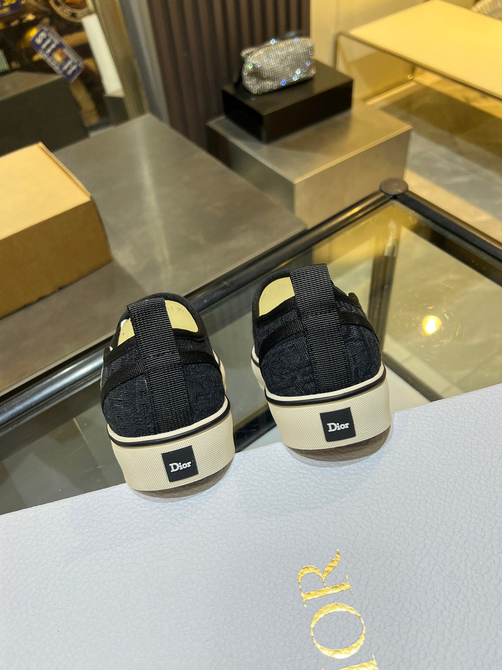Dior-Low-top canvas
