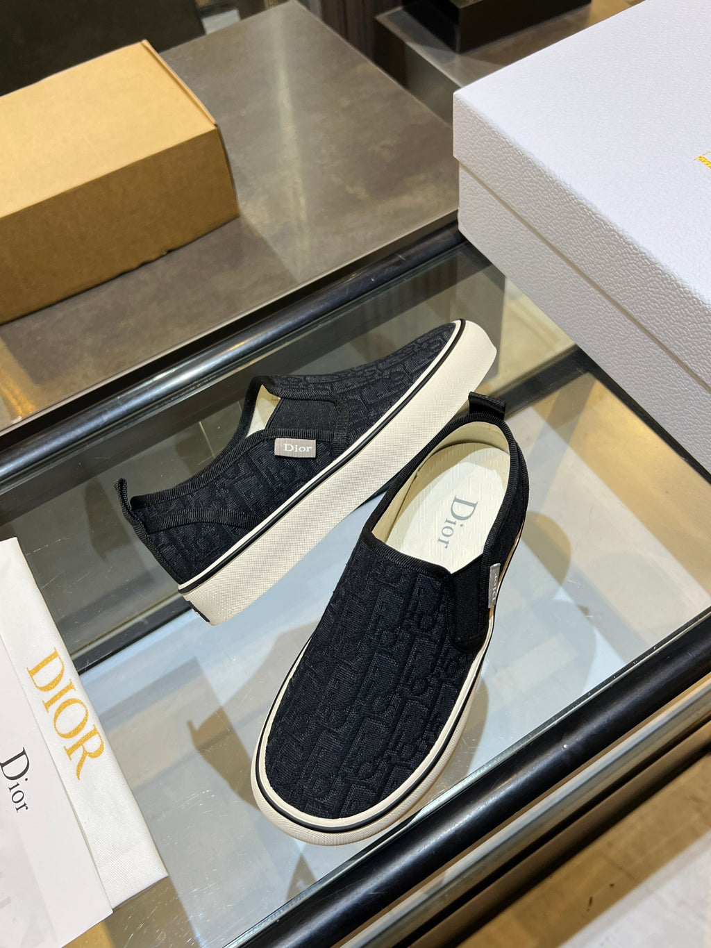 Dior-Low-top canvas